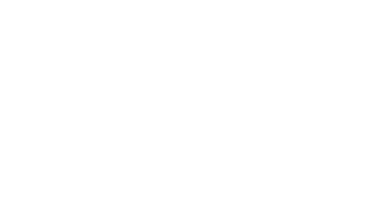 TikTok-Ads-Logo-550x289 copy